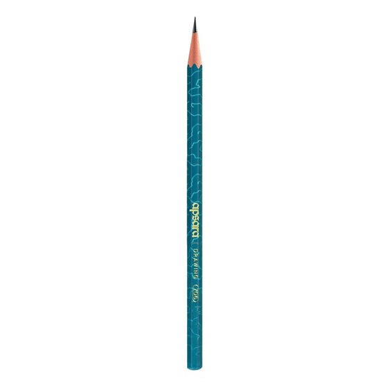 Apsara Drawing 2H Pencils Pack of 10 pencil