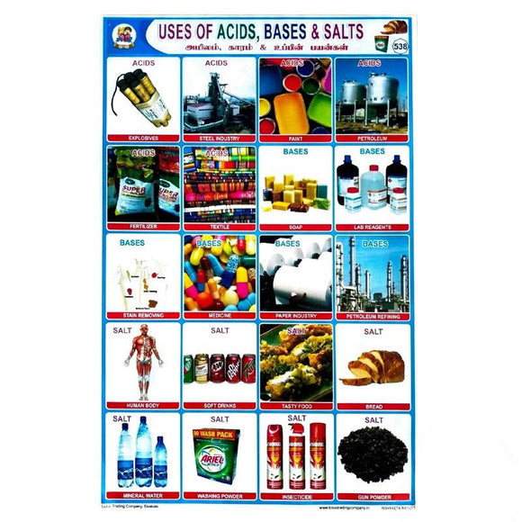 Uses Of Acids, Bases & Salts School Project Chart Stickers