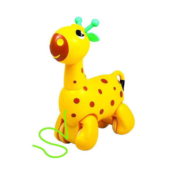 Nico The Giraffe
