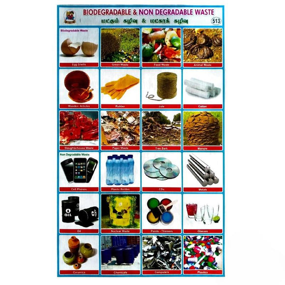 Biodegradable & Non Degradable Waste School Project Chart StickersBiodegradable & Non Degradable Waste School Project Chart Stickers