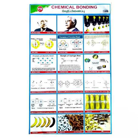 Chemical Bonding School Project Chart Stickers
