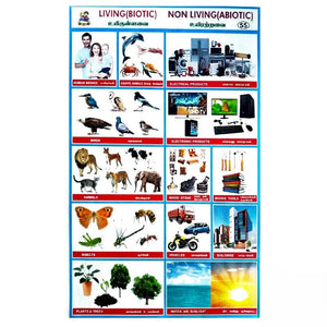 Living Non Living School Project Chart Stickers