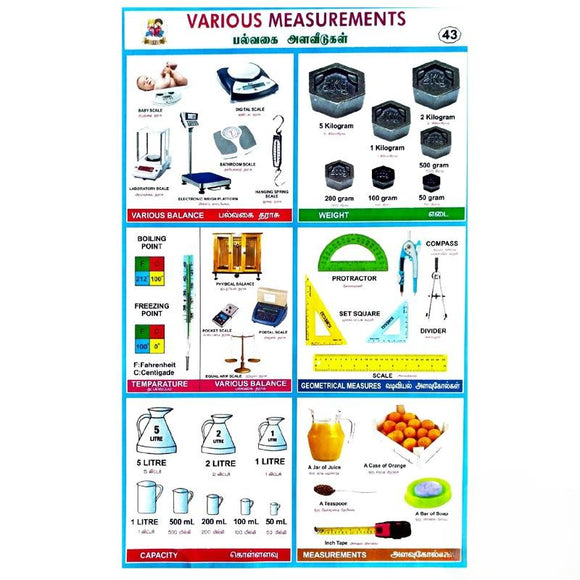Various Measurements School Project Chart Stickers