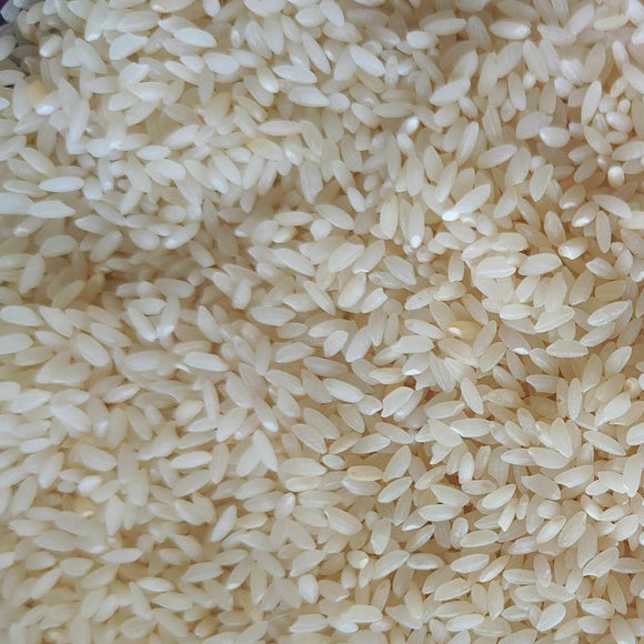 IR 20 Rice