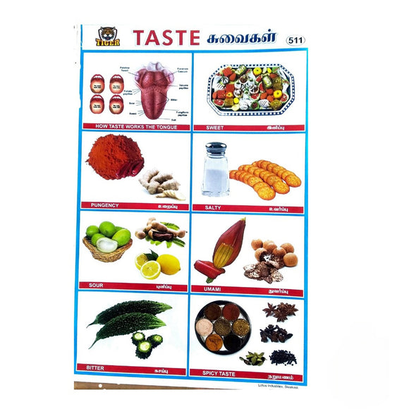 Taste School Project Chart Stickers