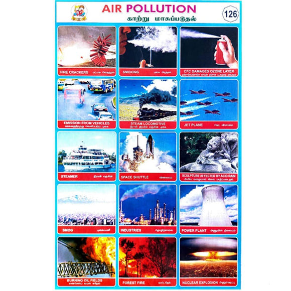 Air Pollution School Project Chart Stickers