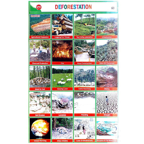 Deforestation School Project Chart Stickers