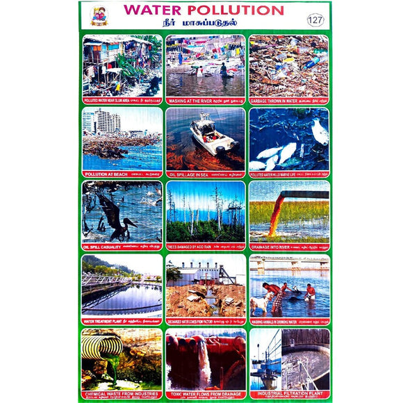 Water Pollution School Project Chart Stickers