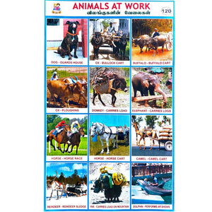 Animals At Work School Project Chart Stickers