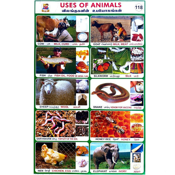 Uses Of Animals School Project Chart Stickers