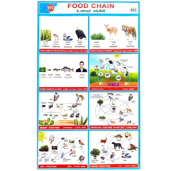 Food Chain School Project Chart Stickers