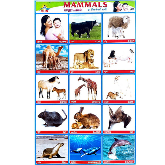 Mammals School Project Chart Stickers