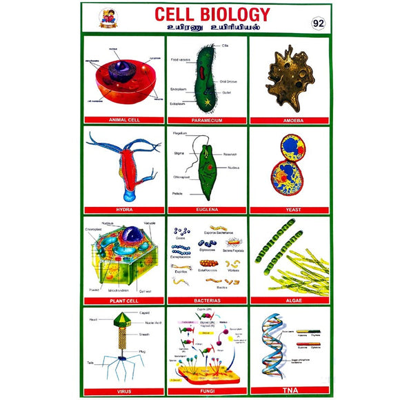 Cell Biology School Project Chart Stickers