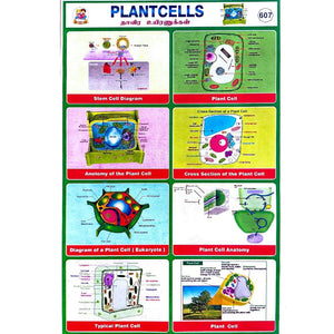 Plant cells School Project Chart Stickers