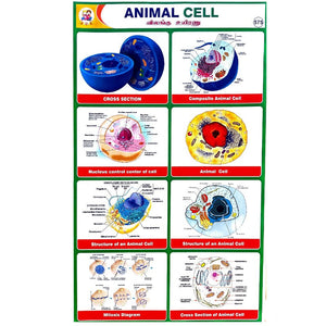 Animal Cell School Project Chart Stickers