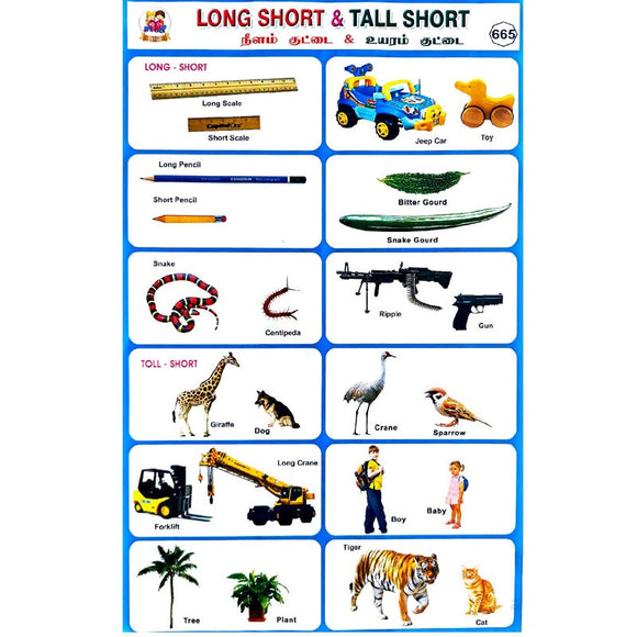 Long Short & Tall Short School Project Chart Stickers