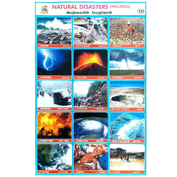 Natural Disasters School Project Chart Stickers