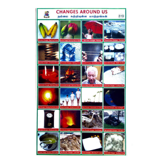 Changes Around Us School Project Chart Stickers