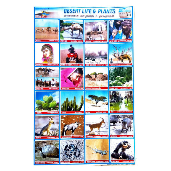 Desert Life & Plants School Project Chart Sticker