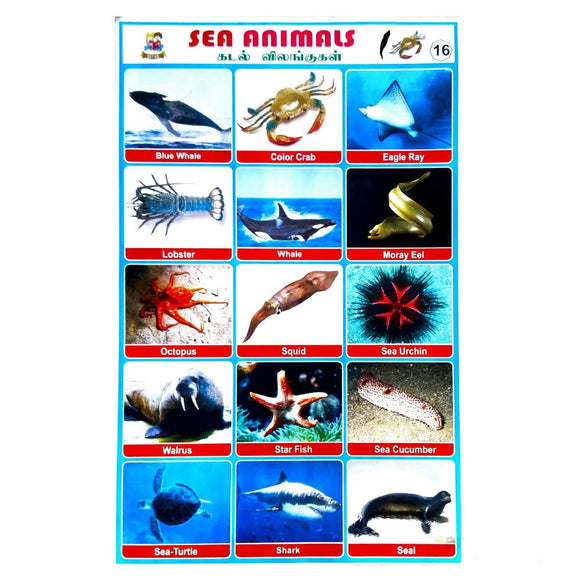 Sea Animals School Project Chart Stickers