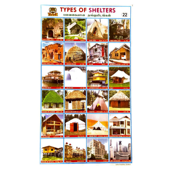 Types Of Shelters School Project Chart Stickers