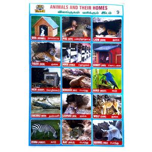 Animals And Their Homes School Project Chart Stickers