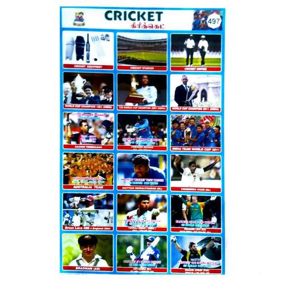 Cricket  School Project Chart Stickers