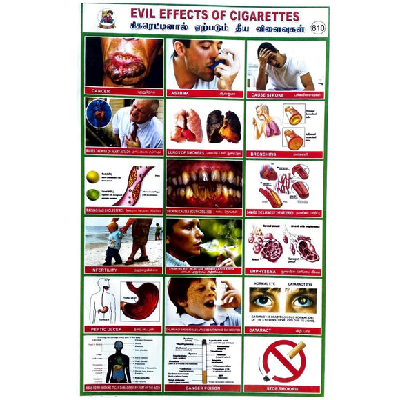 Evil Effects Of Cigarettes School Project Chart Stickers