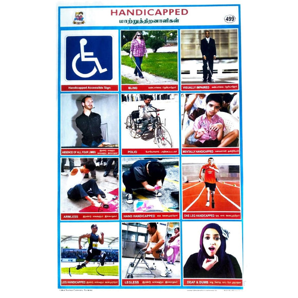 Handicapped School Project chart Stickers