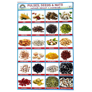 Pulses Seeds And Nuts School Project Chart Stickers.