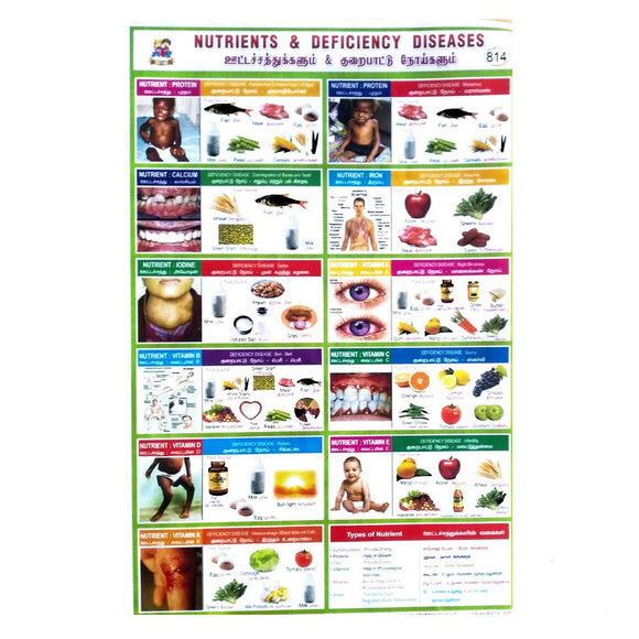 Nutrients And Deficiency Diseases  School Project Chart Stickers.