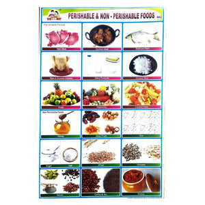 Perishable And Non-Perishable Foods  School Project Chart Stickers 