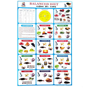 Balanced Diet School Project Chart Stickers