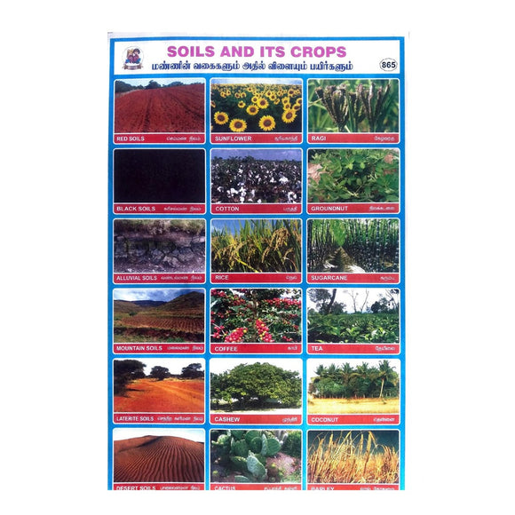 Soils And Its Crops School Project Chart Stickers