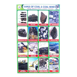 Types Of Coal And Coal Mines School Project Chart Stickers
