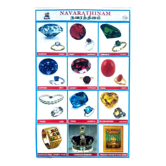 Navarathiam School Project Chart Stickers