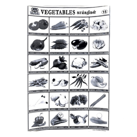 Vegetables School Project Chart Stickers