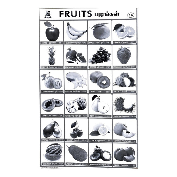 Fruits School Project Chart Stickers