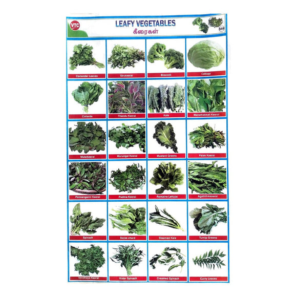 Leafy vegetables School Project Chart Stickers