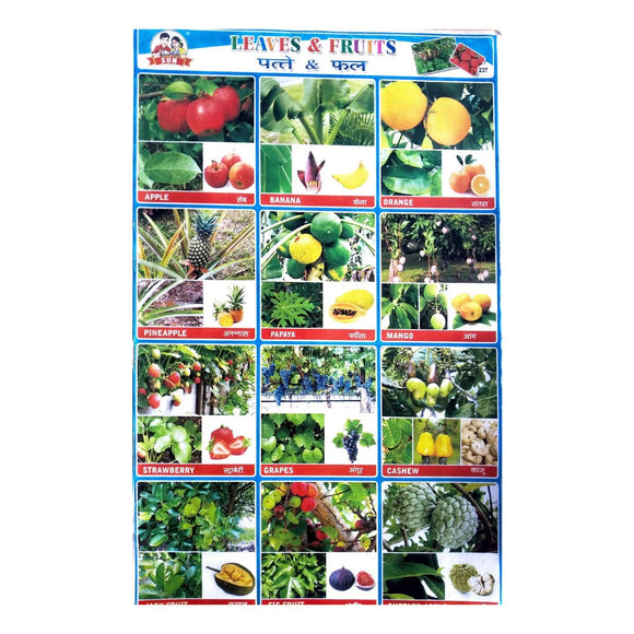 Leaves And Fruits School Project Chart Stickers