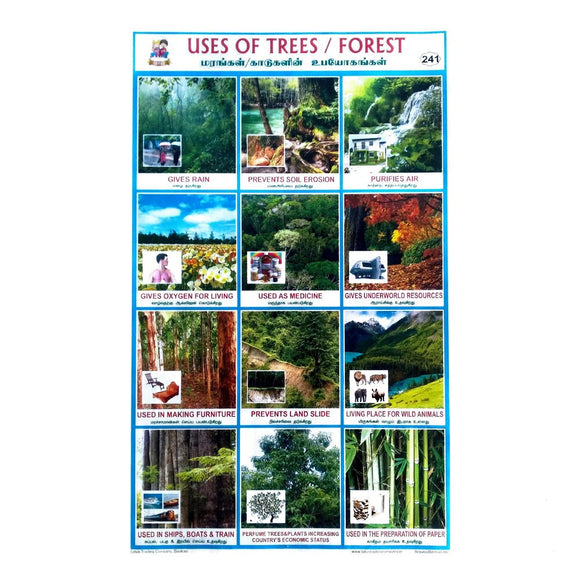Uses OF trees / Forest School Project Chart Stickers