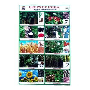 Crops Of India School Project Chart Stickers