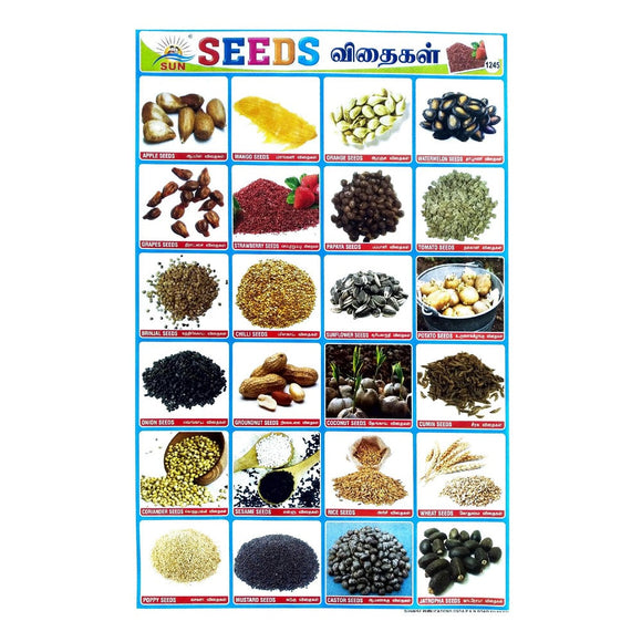 Seeds School Project Chart Stickers