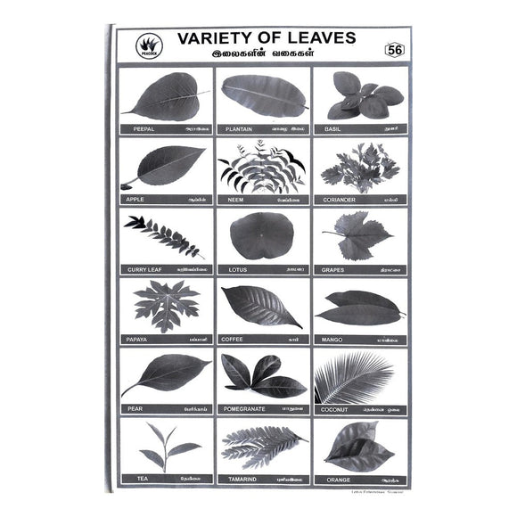 Variety Of Leave School Project Chart Stickers