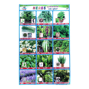 Herbs School Project Chart Stickers