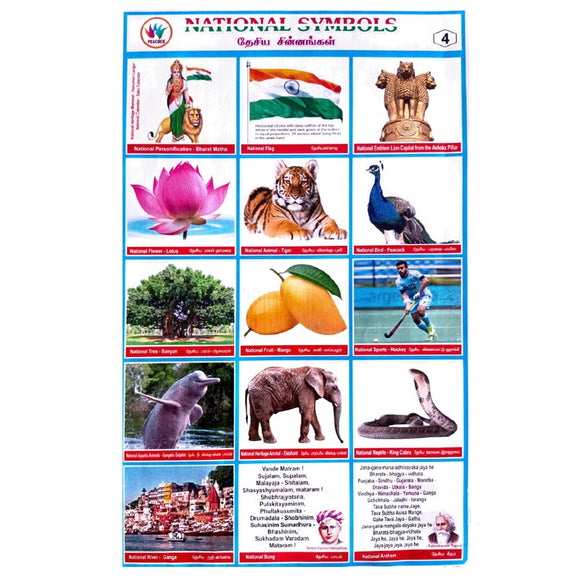 National Symbols School Project Chart Stickers