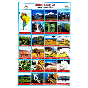 South America School Project Chart Stickers