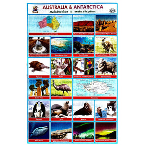 Australia & Antarctica School Project Chart Stickers