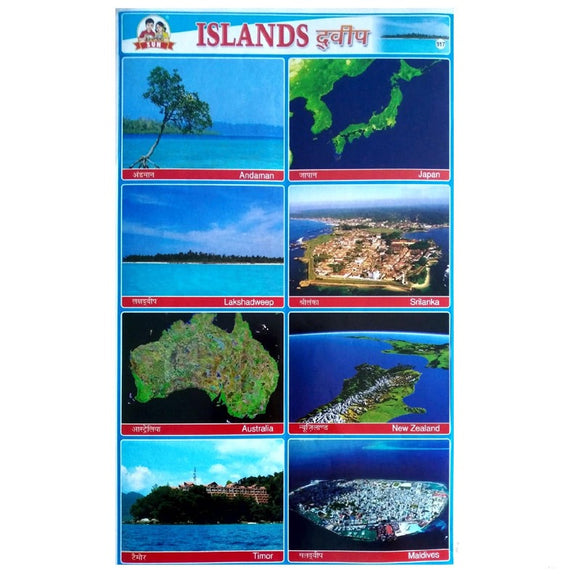 Islands School Project Chart Stickers