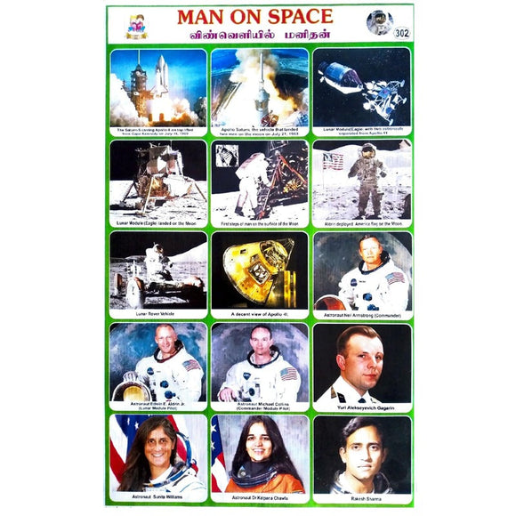 Man Of Space School Project Chart Stickers